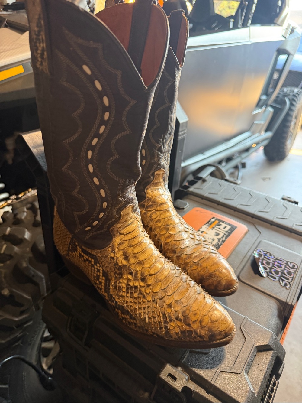 Men’s snakeskin boots